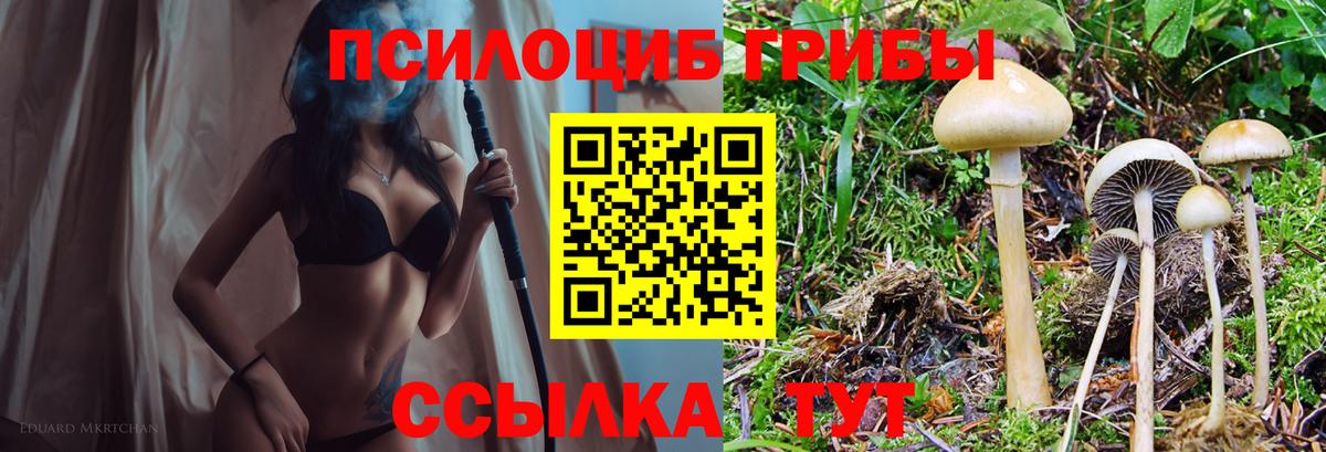 Старая Купавна  цены наркотик  Псилоцибиновые грибы мухоморы  Вход с VPN  Псилоцибиновые грибы ЛСД 